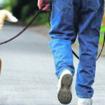 Deiezioni canine, arriva la stretta del Comune