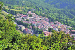 Casa di riposo, anziani trasferiti nottetempo: il caso finisce in Consiglio comunale