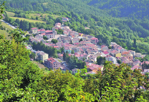 Casa di riposo, anziani trasferiti nottetempo: il caso finisce in Consiglio comunale