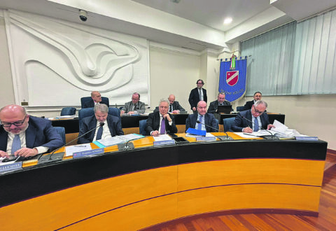 Scontro sui cinghiali a Campobasso, Micone: colpa della differenziata