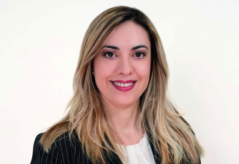 Nucleo industriale Campobasso-Bojano, la replica della commissaria a Fanelli