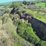 La bestia beffa promesse e burocrazia: si muove a un passo dall’avvio dei lavori