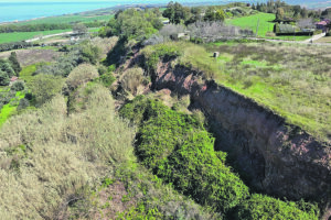 La bestia beffa promesse e burocrazia: si muove a un passo dall’avvio dei lavori