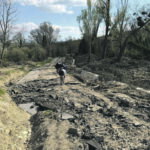 Allevamenti, produttori di latte e imprenditori edili nella morsa