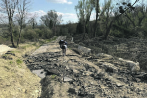 Allevamenti, produttori di latte e imprenditori edili nella morsa