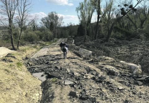Allevamenti, produttori di latte e imprenditori edili nella morsa
