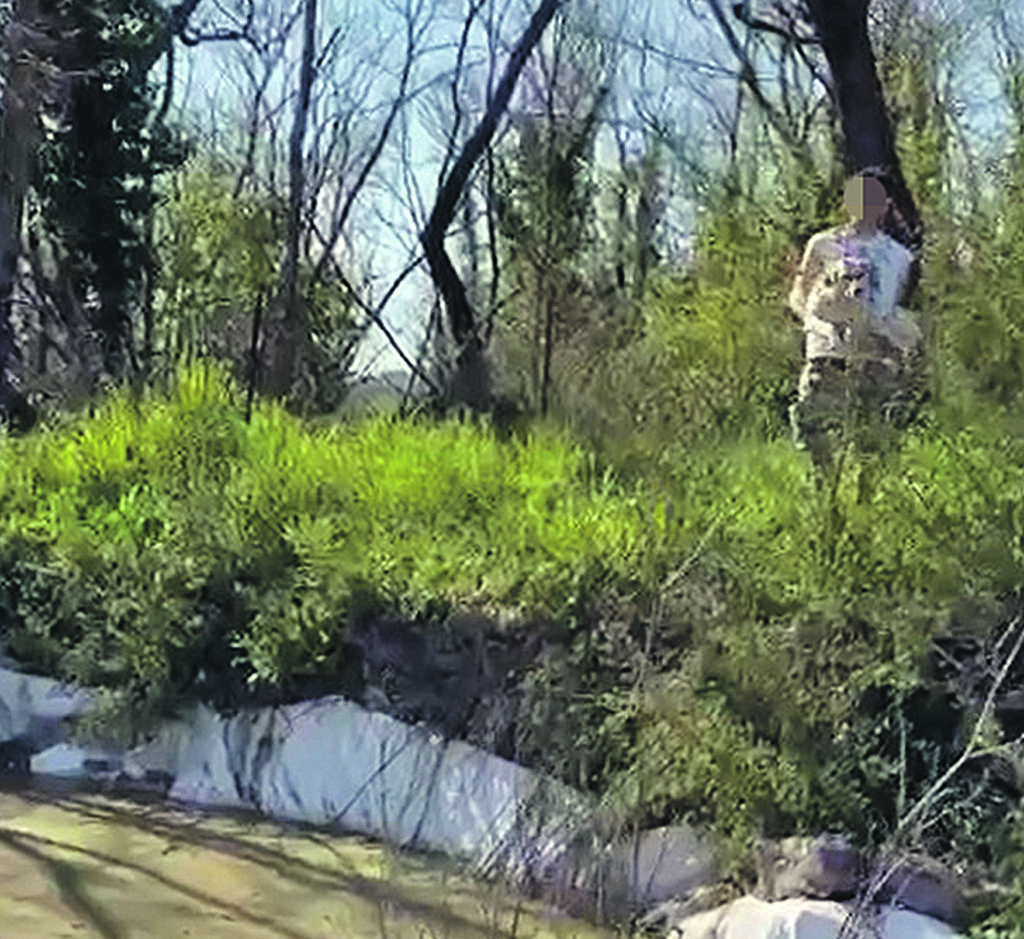 Violenza inaudita, cane ferito gettato in acqua per puro gioco