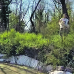 Violenza inaudita, cane ferito gettato in acqua per puro gioco