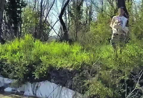 Violenza inaudita, cane ferito gettato in acqua per puro gioco